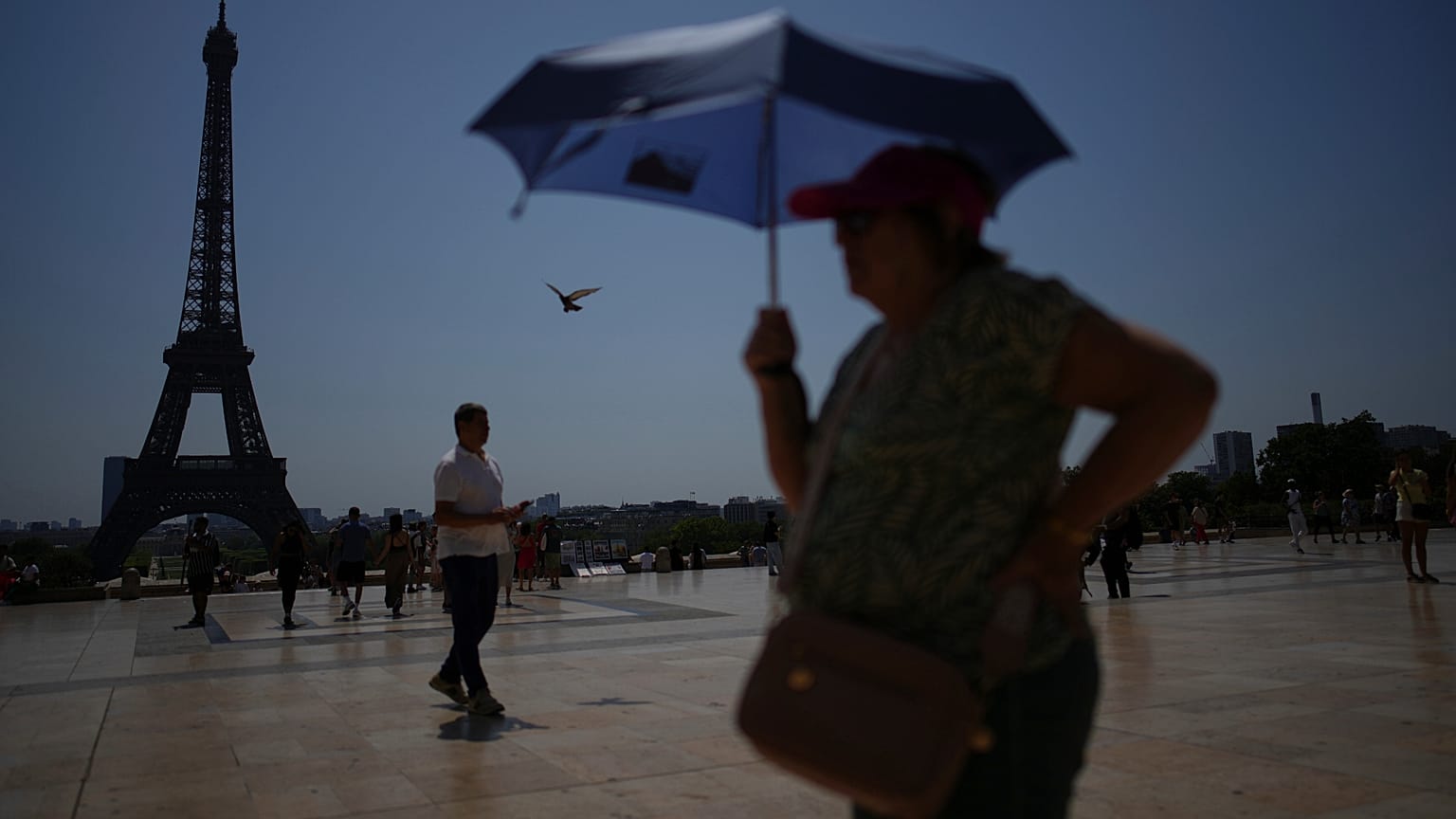 Canicule : le gouvernement déclenche un plan inédit Orsec "chaleurs extrêmes" | Euronews