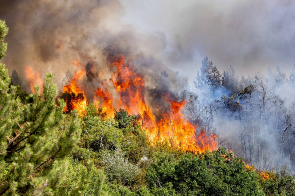 Direct. Incendies : plus de 25 000 hectares ont brûlé depuis le début de l'année, suivez cette journée de canicule en direct