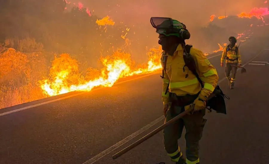 Au moins 11 morts et 19 disparus dans un feu de forêt en Andalousie, dans le sud de l'Espagne | France Inter