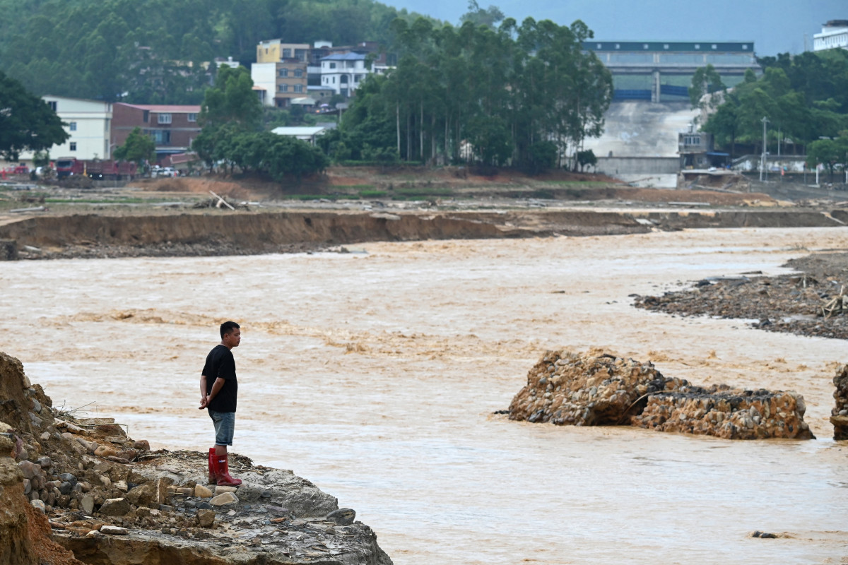 Près de 900 serpents venimeux s'échappent d'un élevage en Chine après des inondations meurtrières
