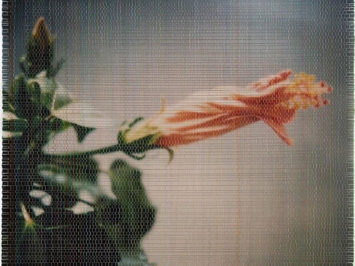 Rencontres de la photographie d'Arles : cinq échappées dans le festival Off – franceinfo