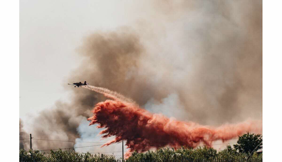 En direct Météo. Canicule : 24 départements en vigilance rouge, 59 en vigilance orange, les incendies font toujours rage