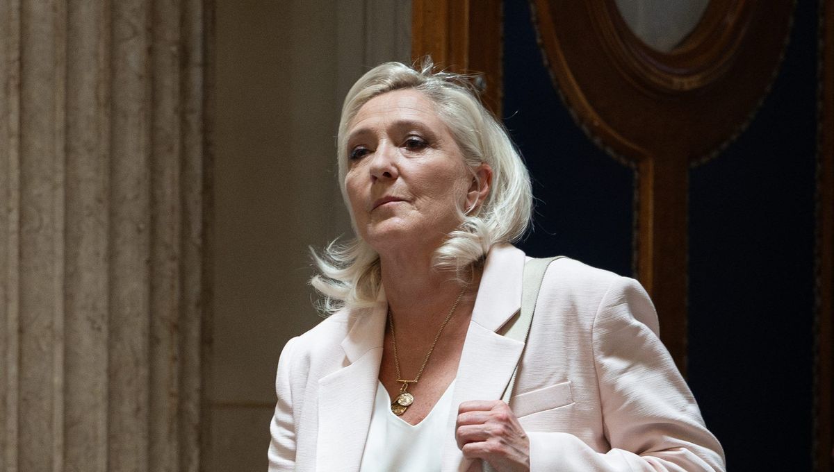 Peine suspendue, calendrier judiciaire : ce que change le pourvoi en cassation de Marine Le Pen avant la présidentielle - ICI