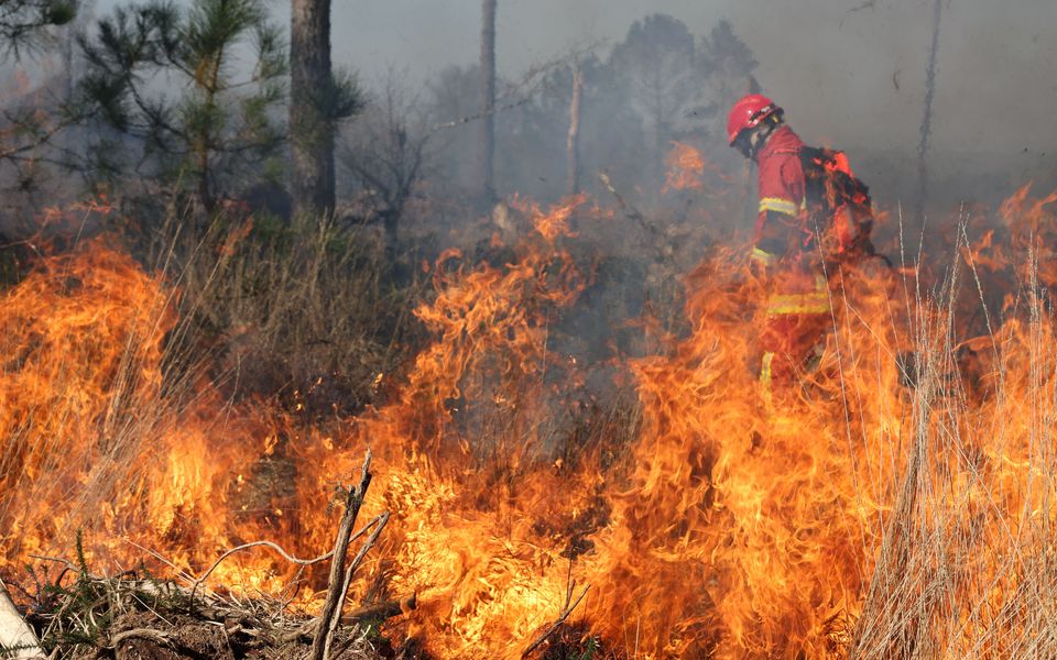 DIRECT - Canicule : 32 personnes suspectées d'être à l'origine de départs de feu interpellées | Le Télégramme