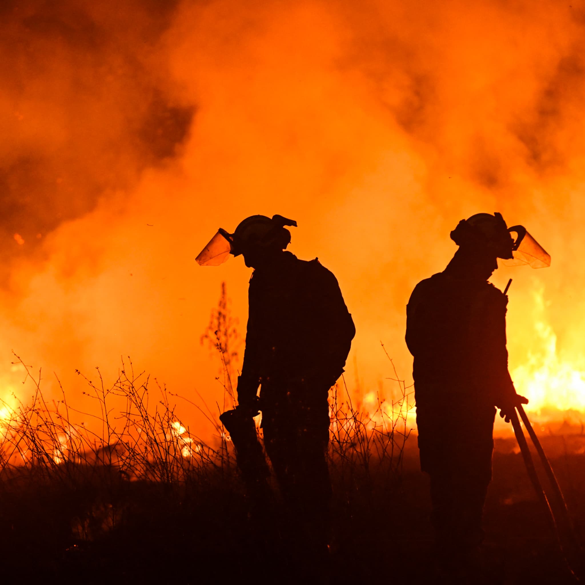 Incendies dans le sud, l'appel des pompiers aux employeurs: "Libérez les pompiers volontaires"