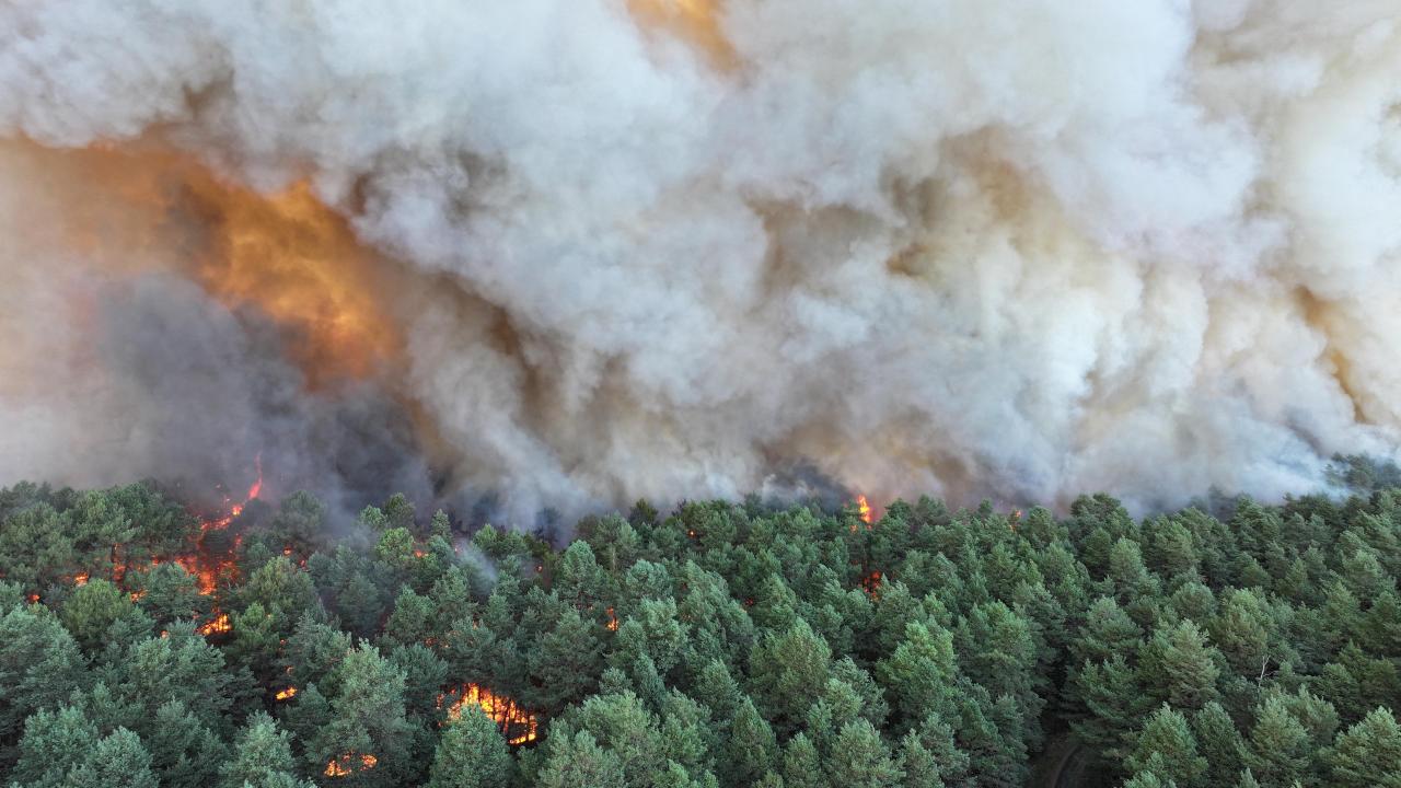 Un incendie d'une “ampleur exceptionnelle” ravage la forêt de Fontainebleau