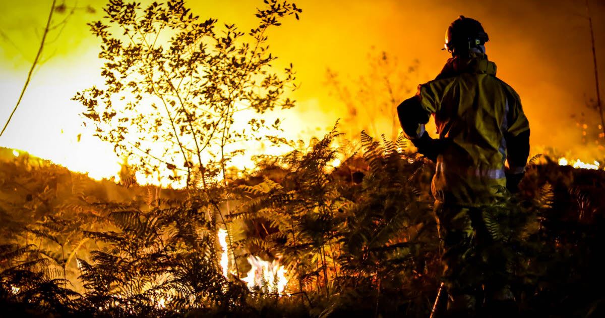 Incendies. Plus de 40 000 hectares ravagés : pourquoi les feux de forêt de 2022 sont historiques