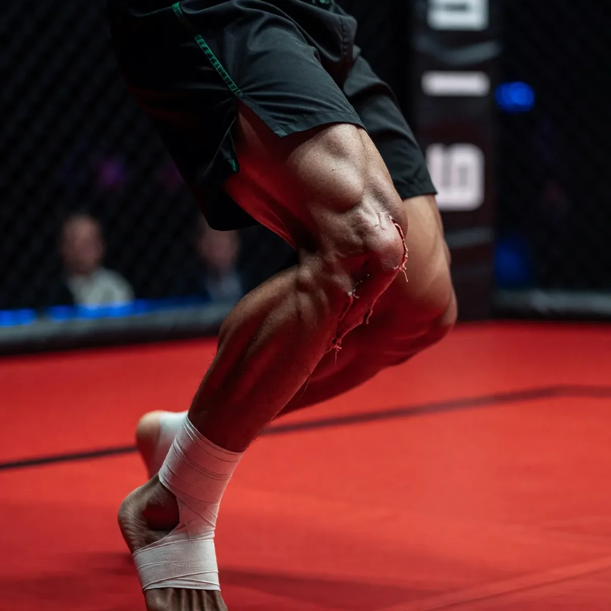 McGregor battu en 69 secondes : rupture du ligament croisé