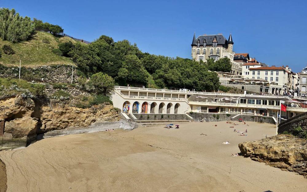 Côte basque : 47 intoxications durant le pont du 14 juillet par l'algue ostreopsis, selon Surfrider - La République des Pyrénées.fr