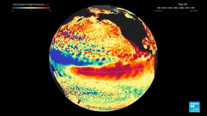 Canicule : "la plus grande priorité, c'est de garder notre planète habitable" - France 24