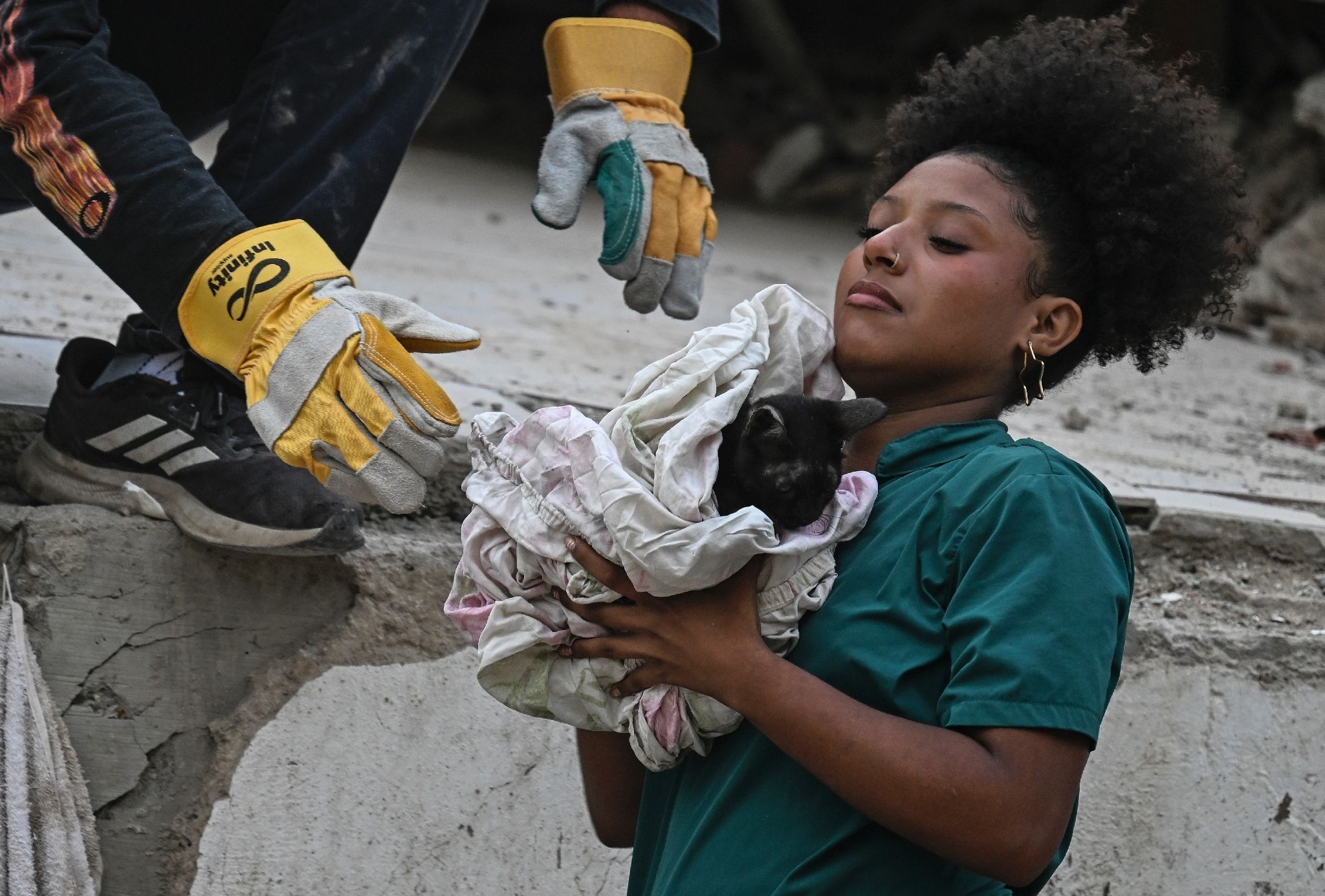 Séisme au Venezuela: un chat sorti des décombres