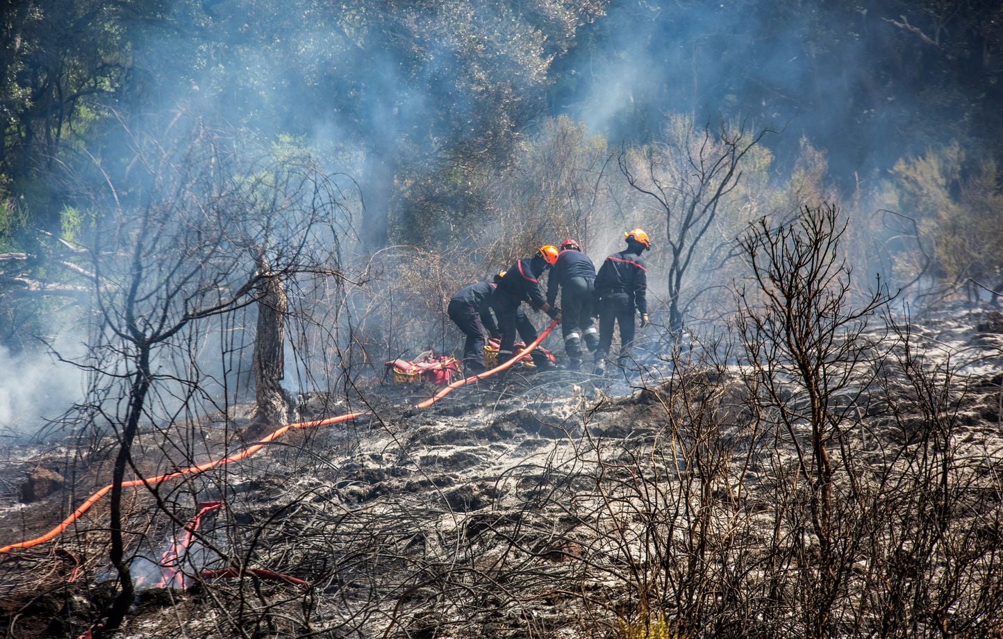 Haute-Corse : Les incendies progressent dans des zones difficiles d'accès, 400 hectares partis en fumée