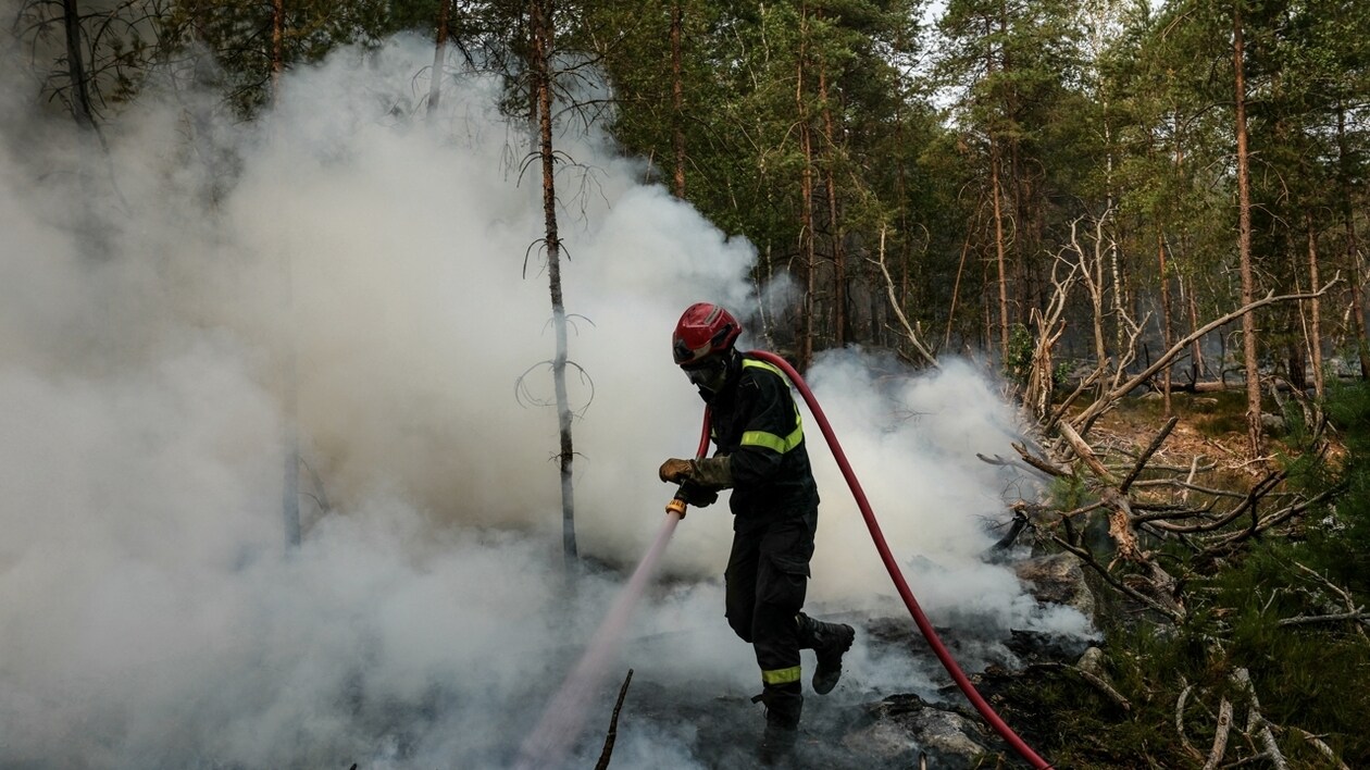 Incendies : près de 40 000 hectares brûlés et 111 interpellations réalisées, annonce le ministre de l'Intérieur