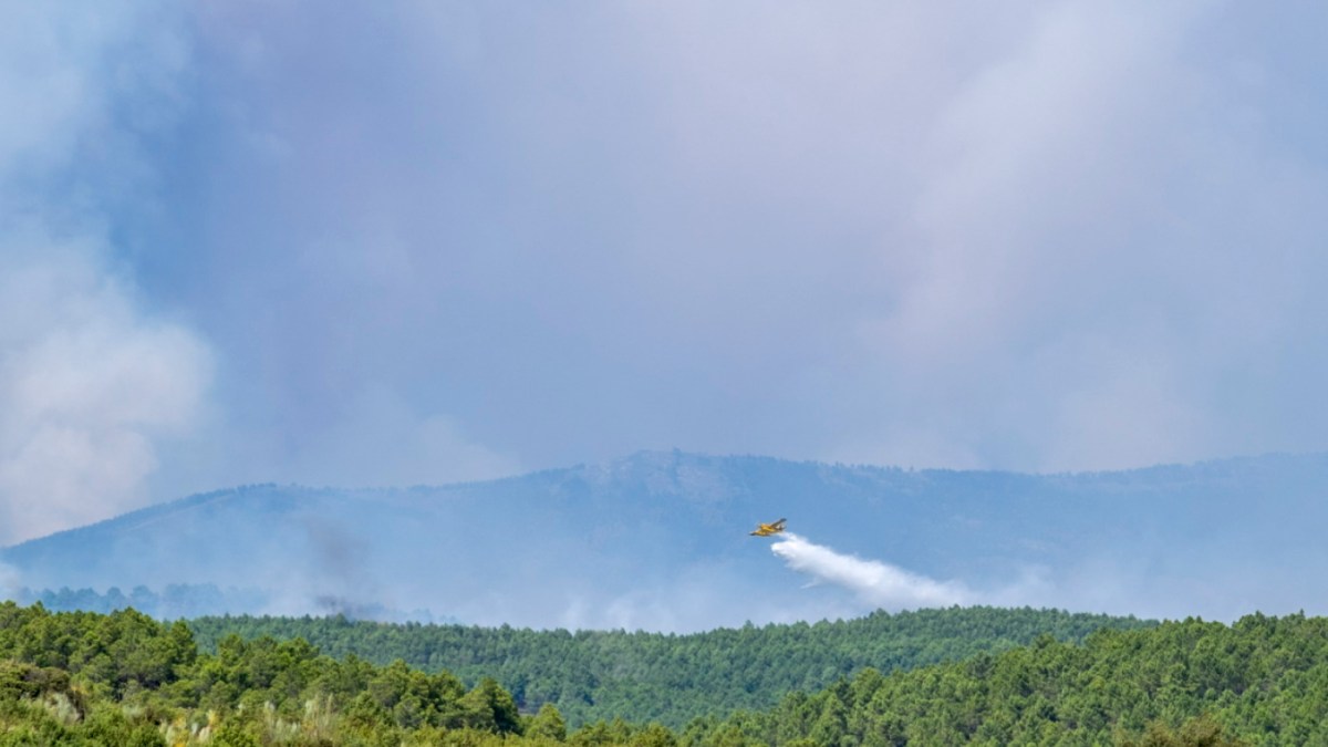 Espagne: 12'000 hectares brûlés dans un incendie au nord de Madrid - SWI swissinfo.ch