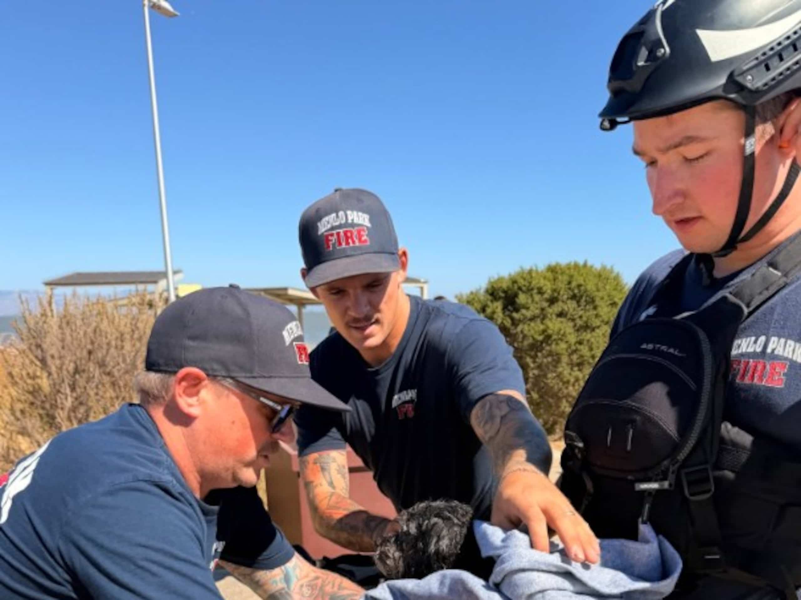 EN VIDÉO | Un petit chien sauvé de la noyade par les pompiers deux semaines après sa disparition | TVA Nouvelles | QUB info