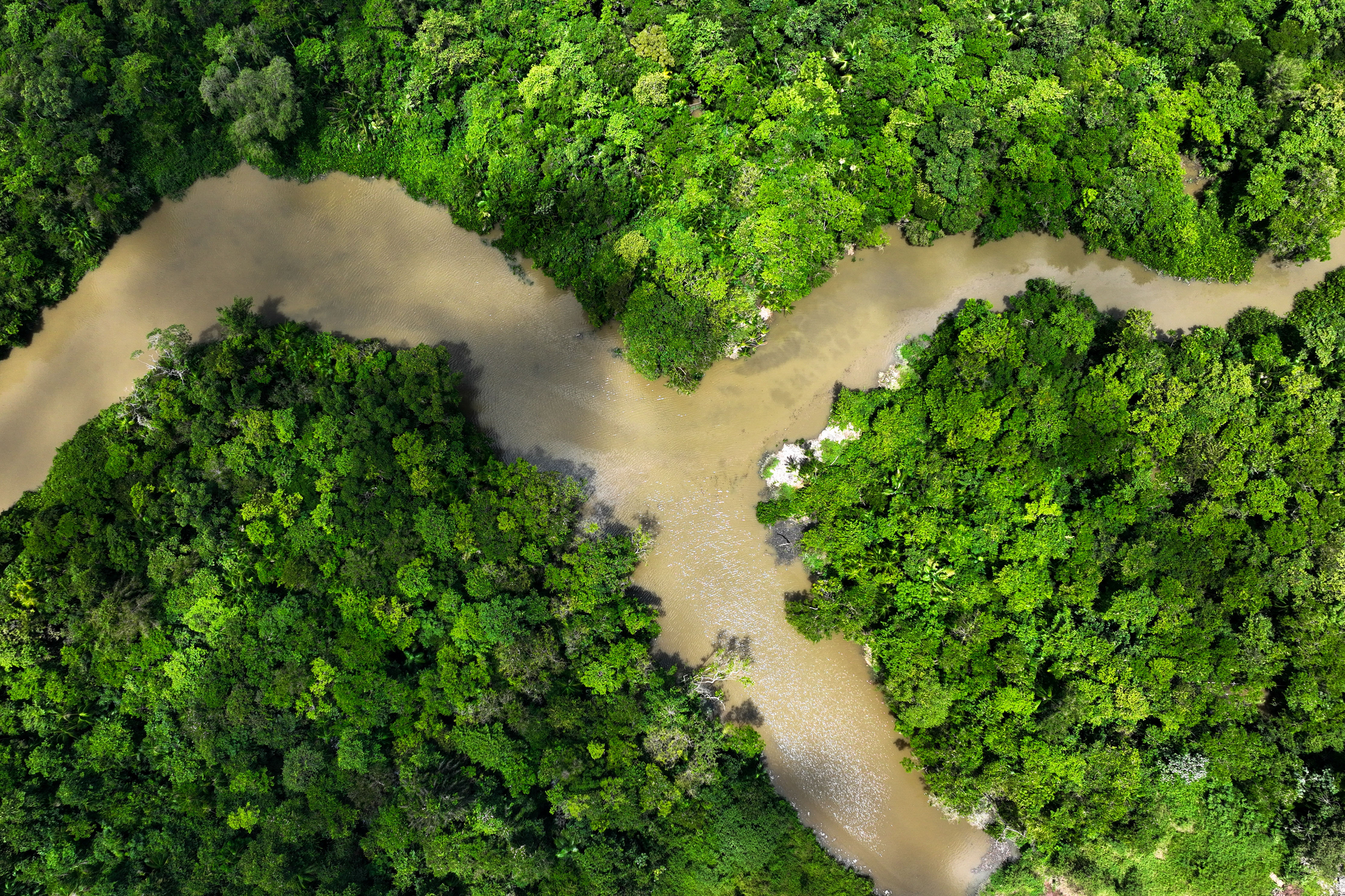 Deforestation in Brazil's Amazon falls to lowest since 2018 | Reuters