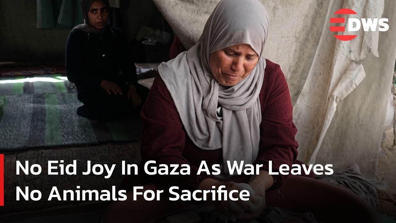 Palestinians In Gaza Face Eid Al Adha Without Sacrificial Animals | DWS  News | AC1F - YouTube