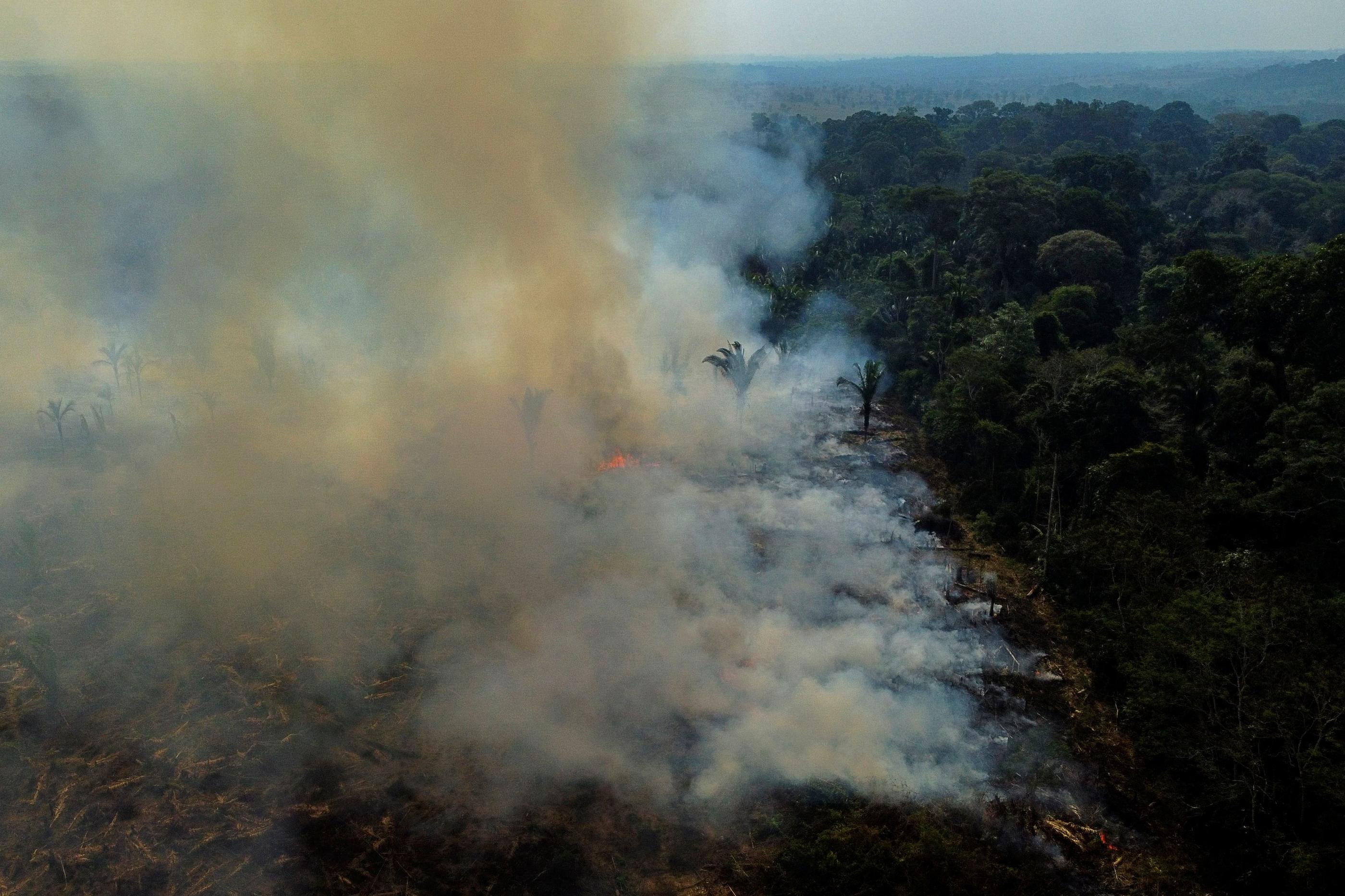Une chute « hors norme » : les feux en Amazonie brésilienne étaient à un niveau historiquement bas en 2025 - Le Parisien
