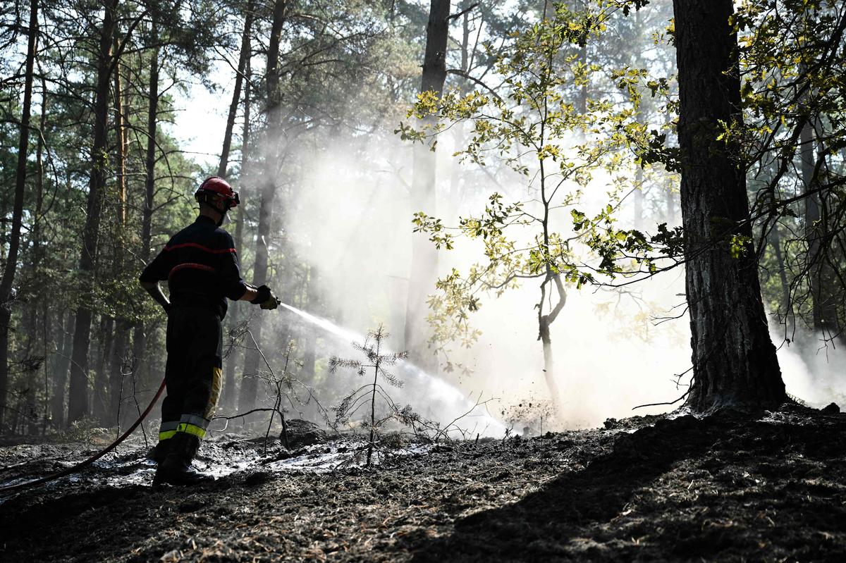 Incendie près de Paris : un homme placé détention après avoir tenté de mettre le feu dans le bois de Boulogne