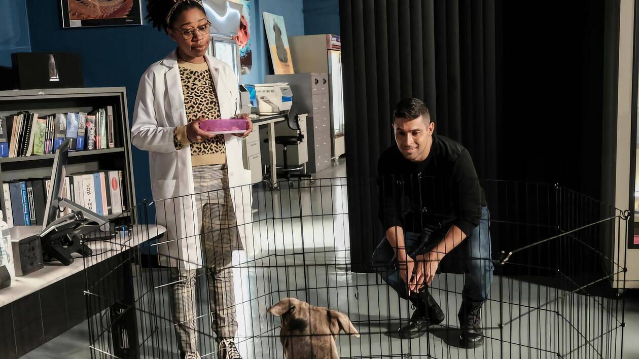 NCIS, Chien de garde S18E10 : résumé