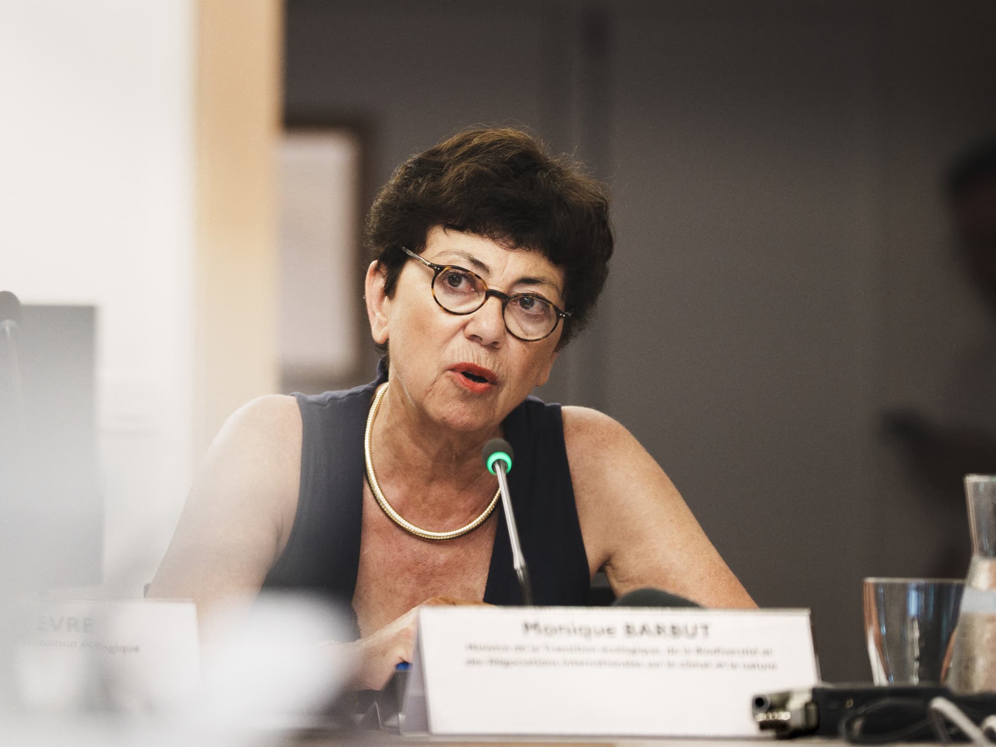 La ministre de la Transition écologique Monique Barbut va présenter sa démission d'ici le Conseil des ministres mercredi