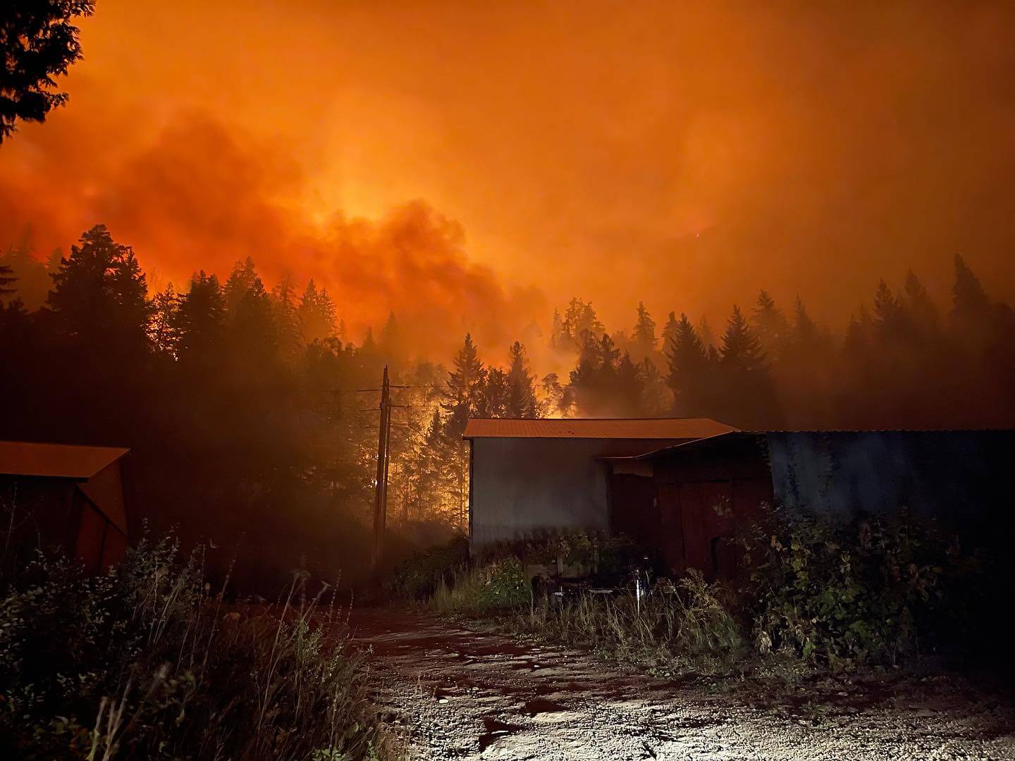 Touchés par les feux de forêt, les peuples autochtones subissent de graves pertes