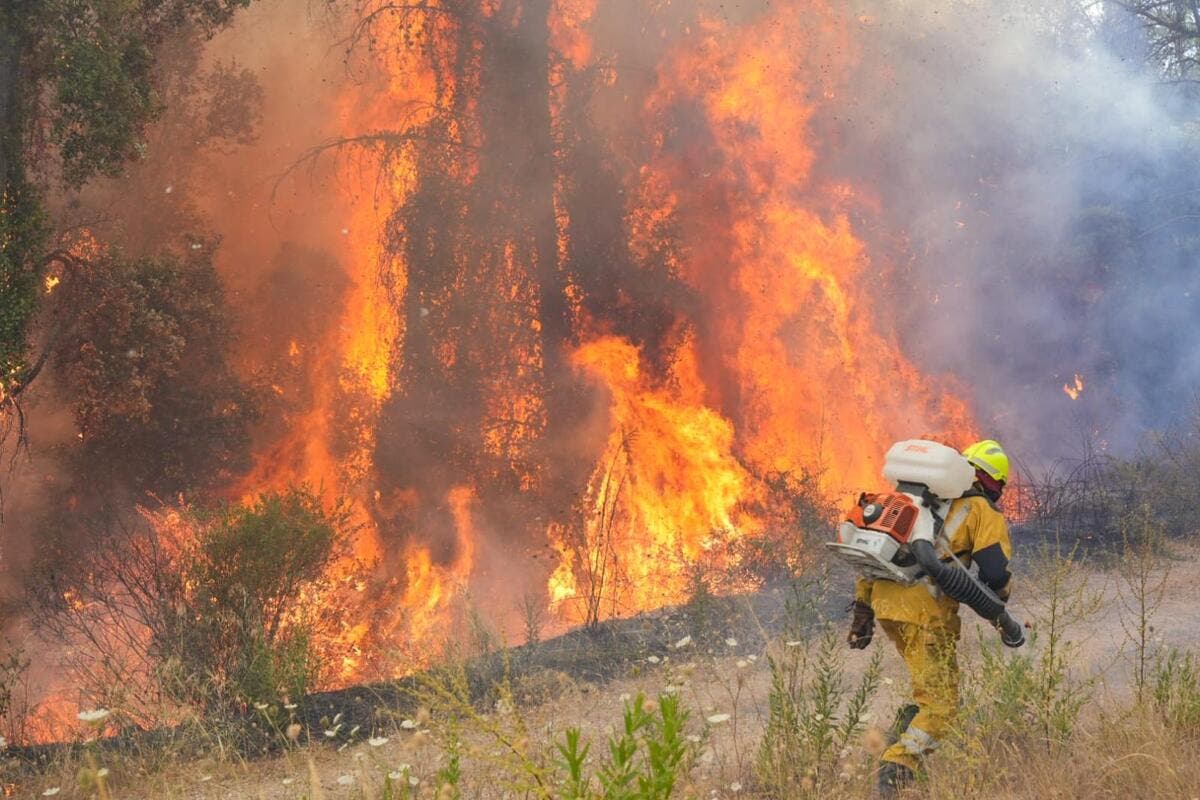 Près de 200 hectares brûlés, 10 maisons touchées, 350 pompiers mobilisés : vive inquiétude dans le Var, l'incendie de Taradeau - Les Arcs pas fixé