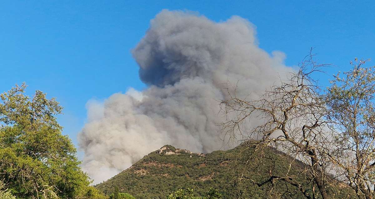Un incendie hors normes entre Pontevès, Cotignac et Cotignac : 1700 ha déjà touchés - Pontevès - Frequence-sud.fr