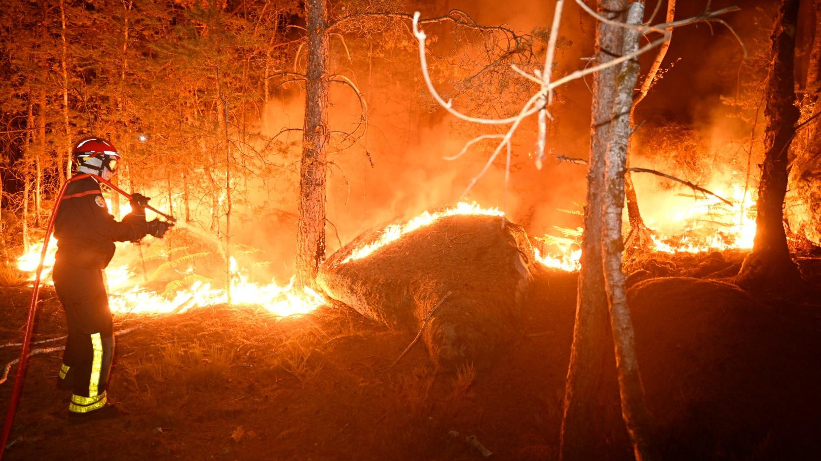 Forêt de Fontainebleau: plus de 1 300 hectares brûlés, deux interpellations - Le Moniteur de Seine-et-Marne