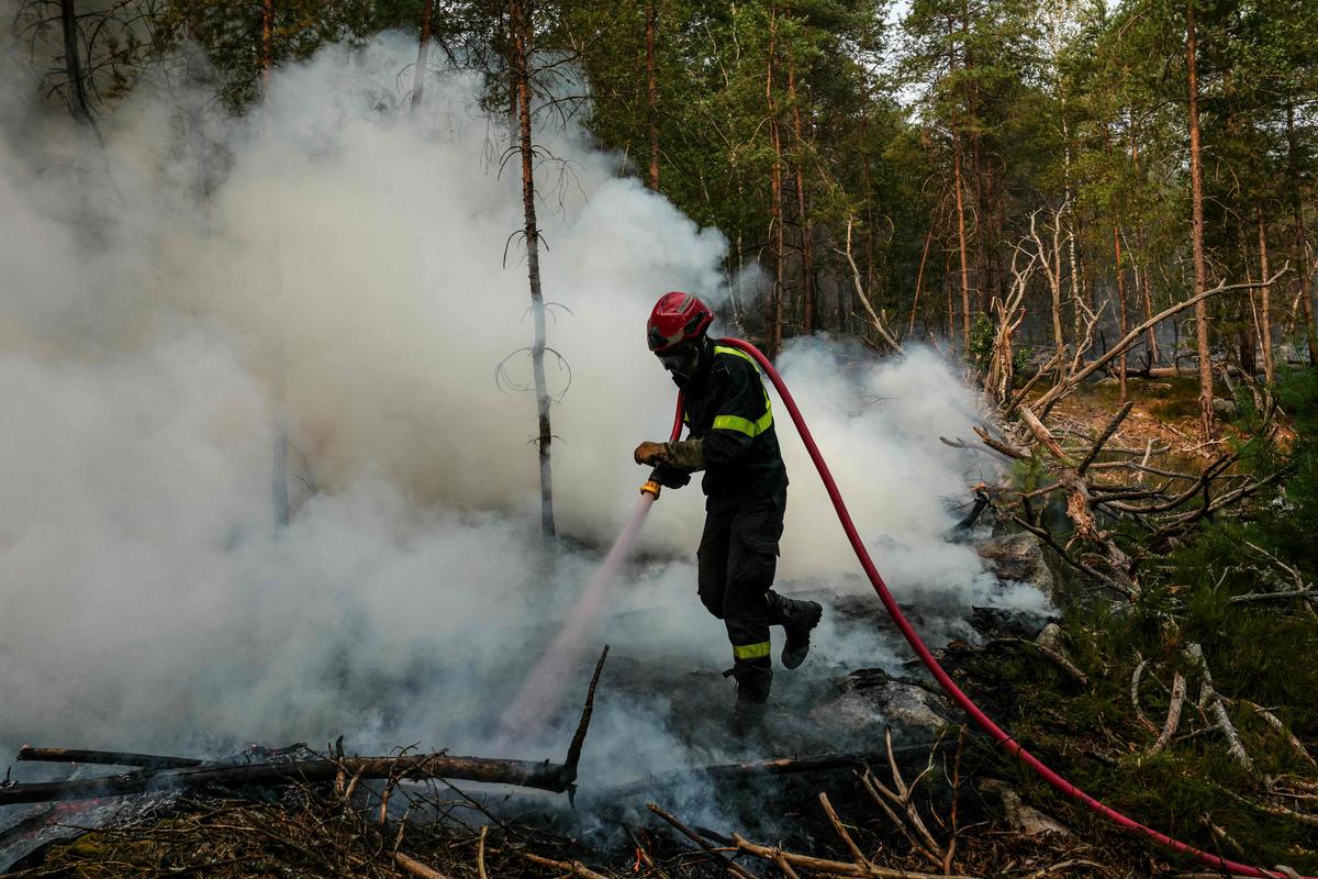 Incendies : « Un peu moins de 40 000 hectares » ont été brûlés depuis le début de l'année en France et 111 personnes ont été interpellées