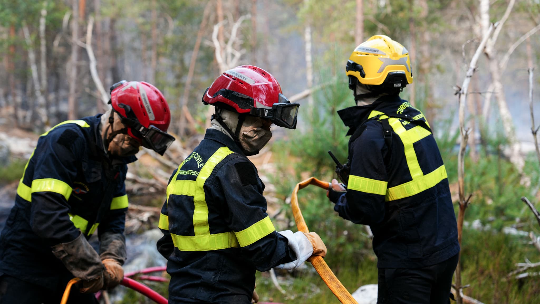 Incendie de Fontainebleau: trois reprises "modérées" de feu, les pompiers toujours à pied d'œuvre