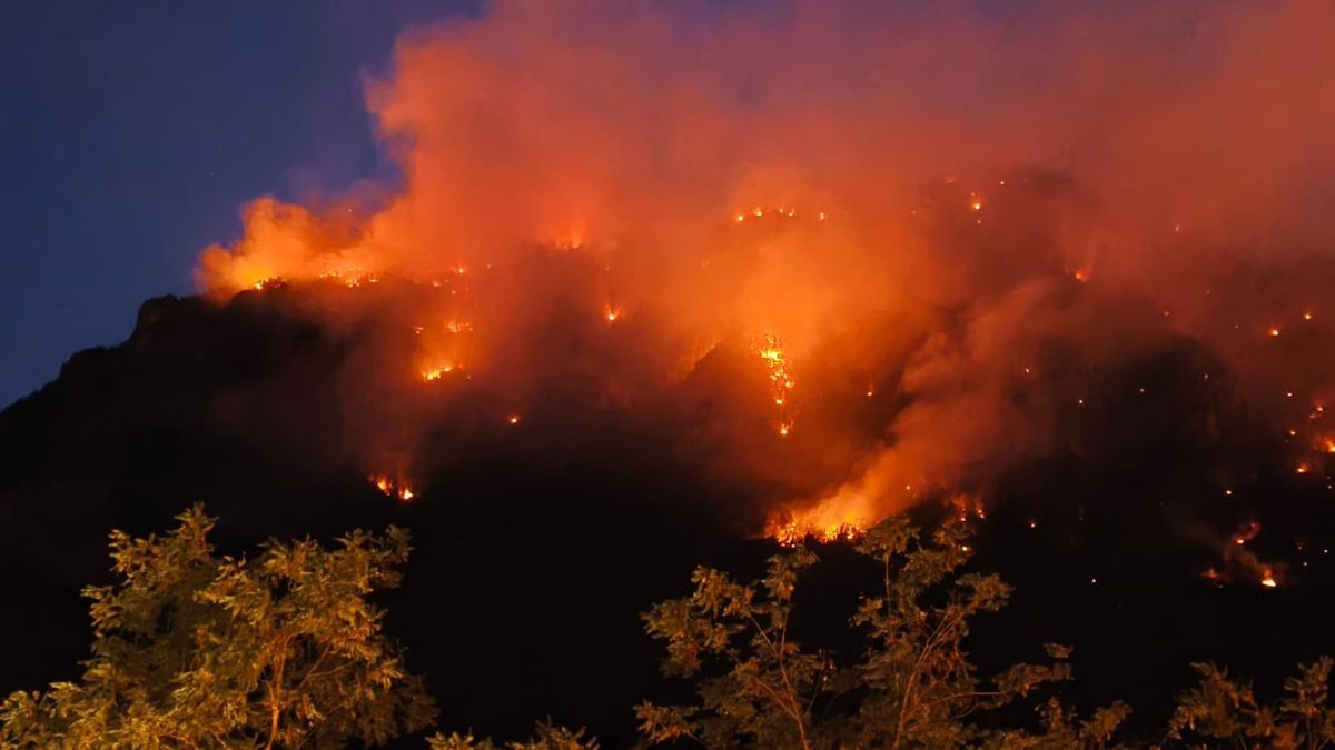 Le feu va continuer à progresser" : l'incendie a déjà brûlé 80 hectares dans les Hautes-Alpes, 11 personnes évacuées