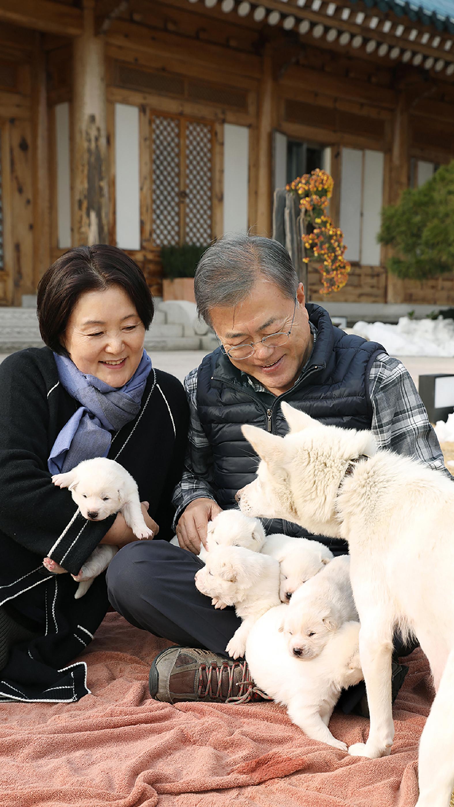 En Corée du Sud, l'incroyable imbroglio présidentiel autour des deux chiens  offerts par Kim Jong-un | franceinfo