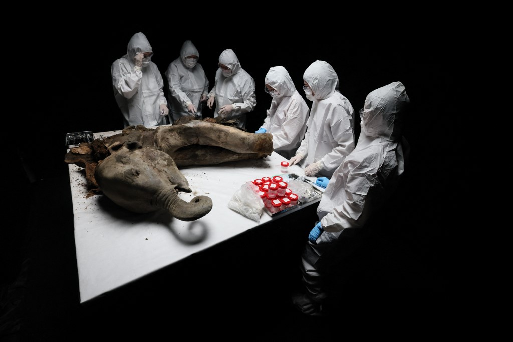 L'AFP distinguée aux Istanbul Photo Awards 2026 | AFP.com