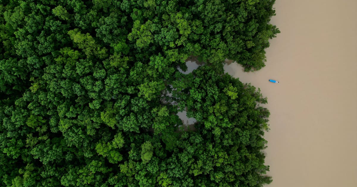 La déforestation en Amazonie au plus bas depuis 2019 – Libération